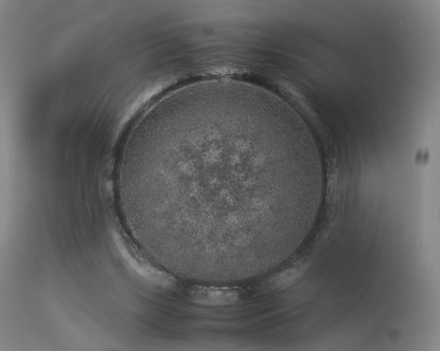 X0000113240443200909171606