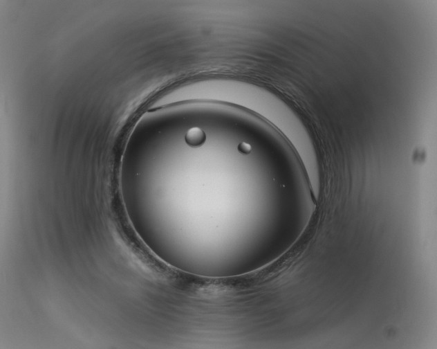 X0000113240444200909171606