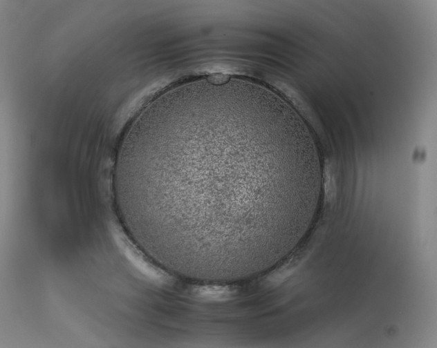 X0000113240445200909171606