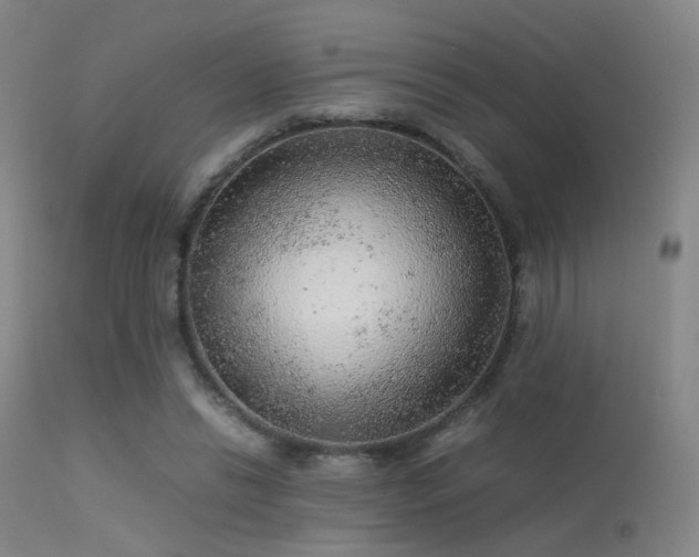 X0000113240446200909171606