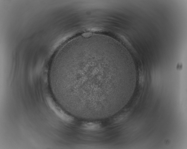 X0000113240447200909171606