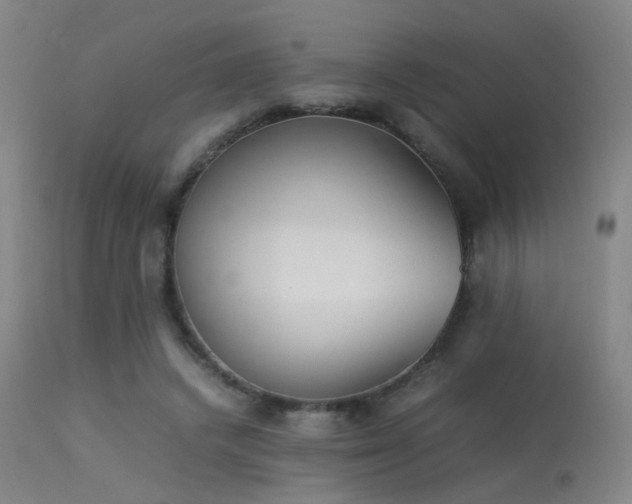 X0000113240448200909171606