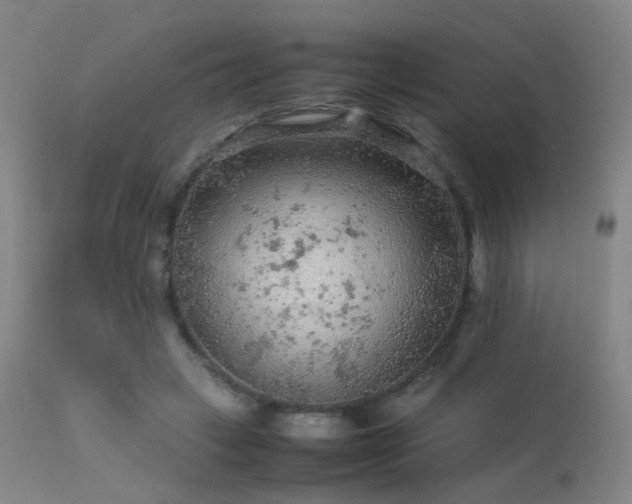 X0000113240449200909171606