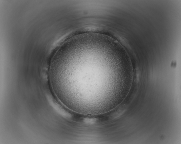 X0000113240450200909171606