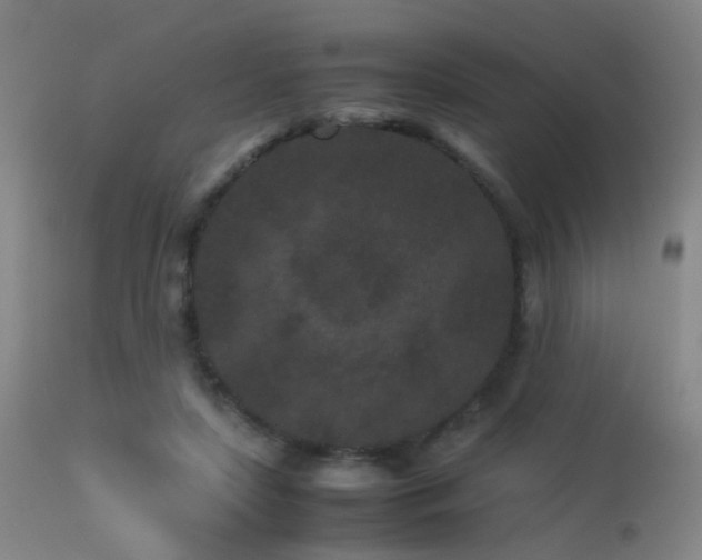 X0000113240451200909171606