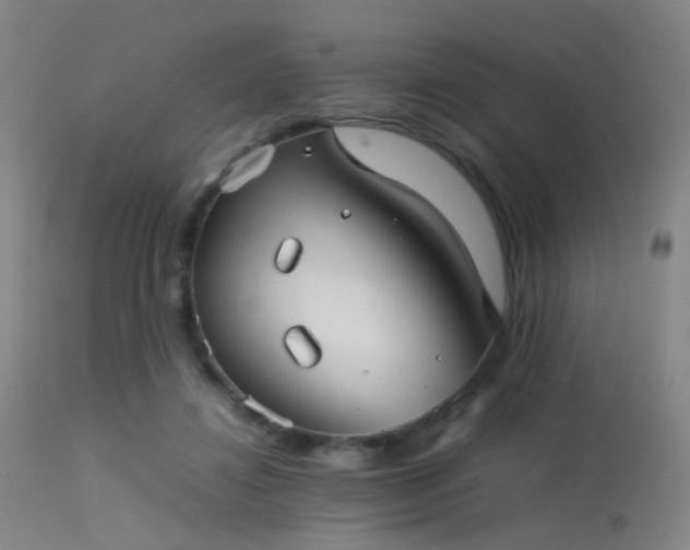 X0000113240452200909171606