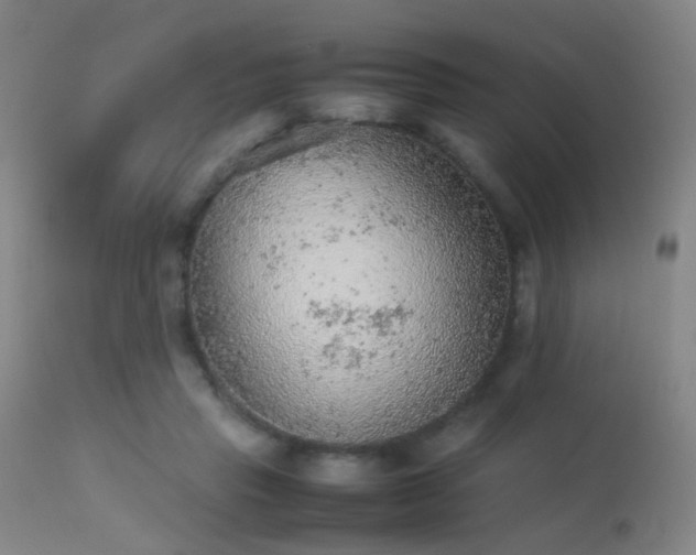 X0000113240453200909171606