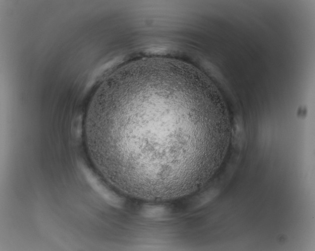 X0000113240454200909171606