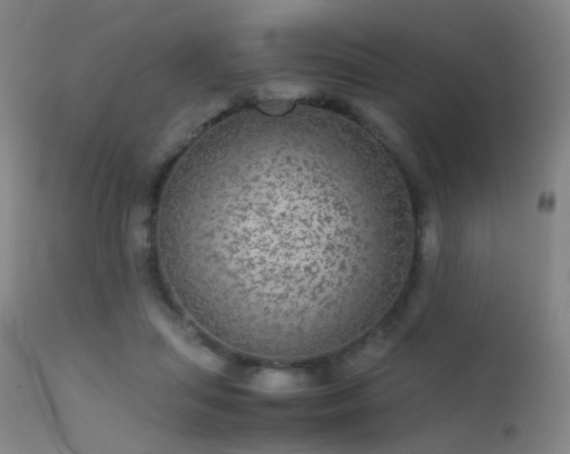 X0000113240455200909171606