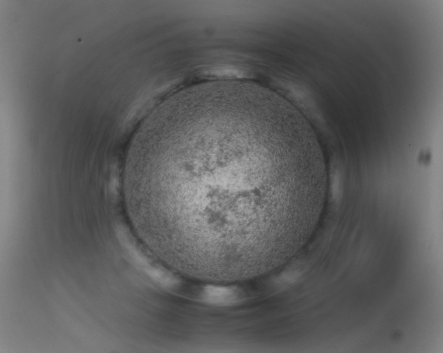 X0000113240457200909171606