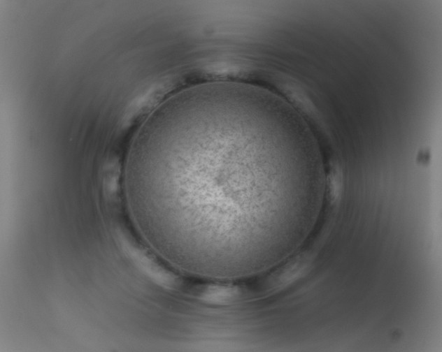 X0000113240458200909171606