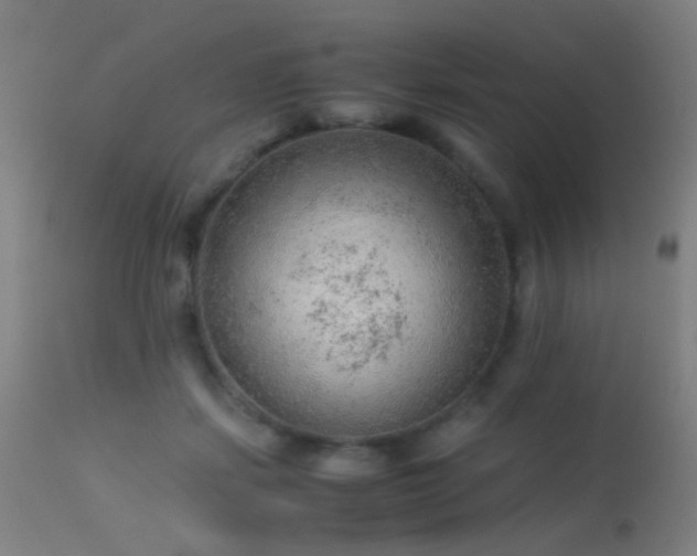 X0000113240459200909171606