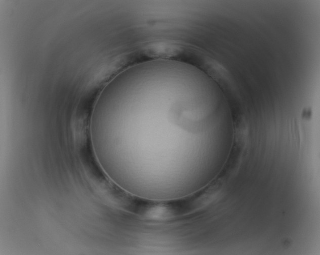 X0000113240460200909171606