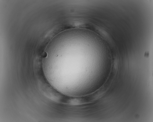 X0000113240461200909171606