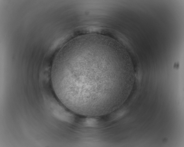 X0000113240462200909171606