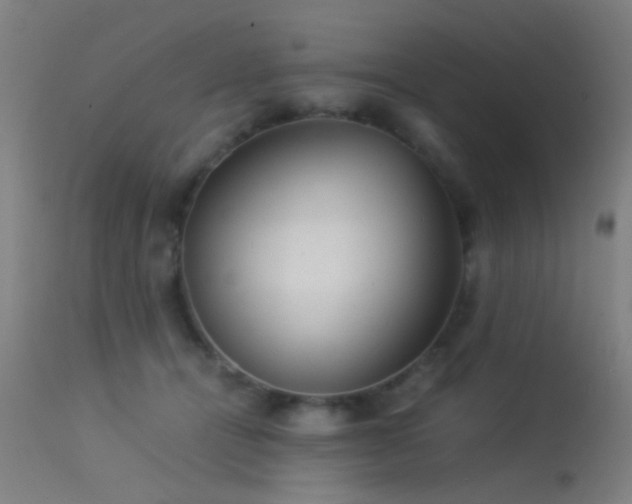 X0000113240464200909171607