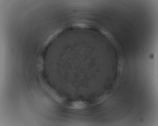 X0000113240465200909171607