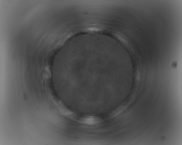 X0000113240467200909171607