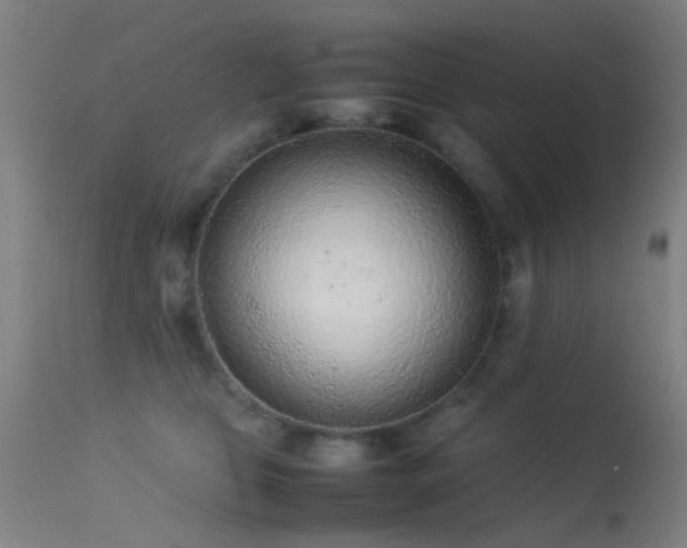 X0000113240469200909171607