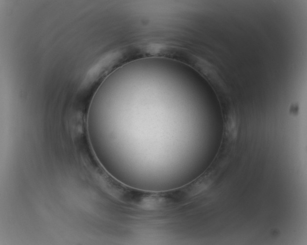 X0000113240470200909171607