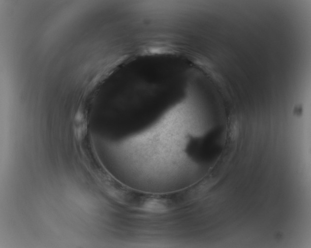 X0000113240471200909171607