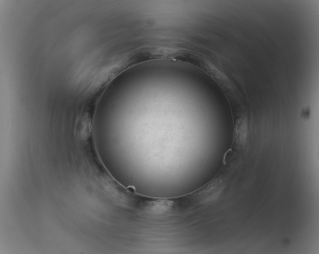 X0000113240474200909171607