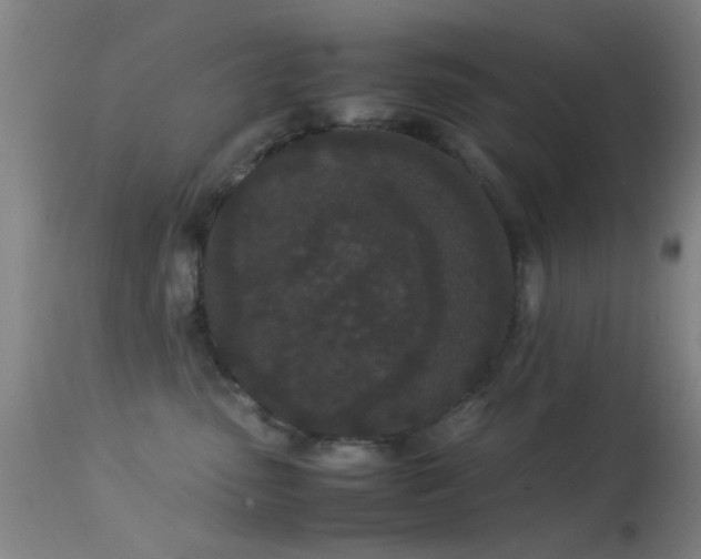 X0000113240475200909171607