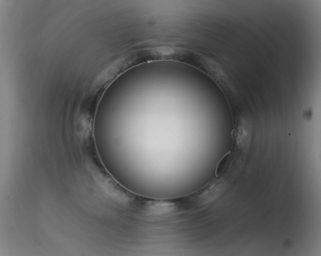 X0000113240476200909171607