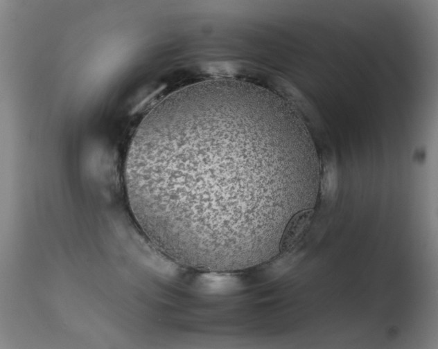 X0000113240477200909171607