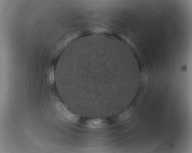 X0000113240479200909171607