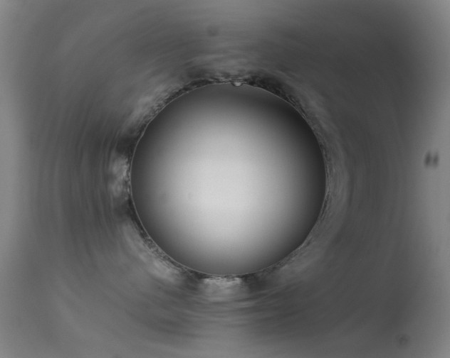 X0000113240480200909171607