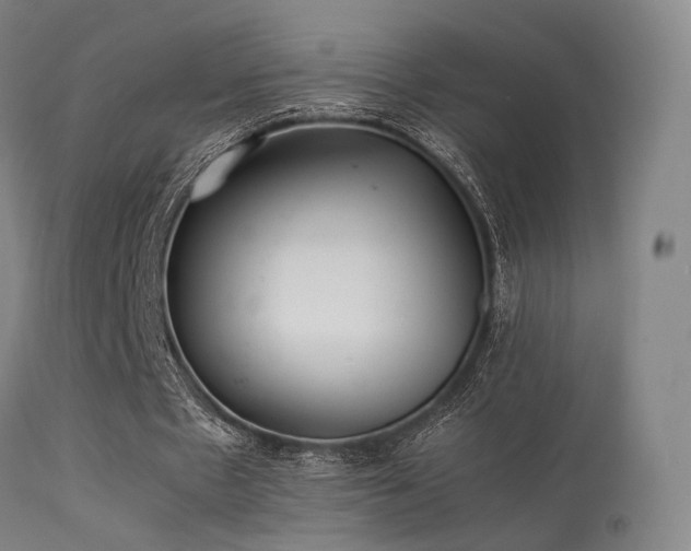 X0000113240481200909171606