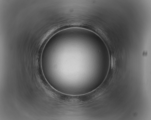 X0000113240483200909171606