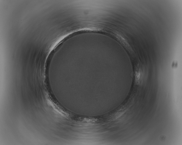 X0000113240484200909171606