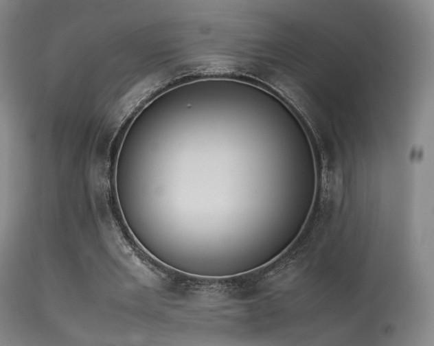 X0000113240485200909171606