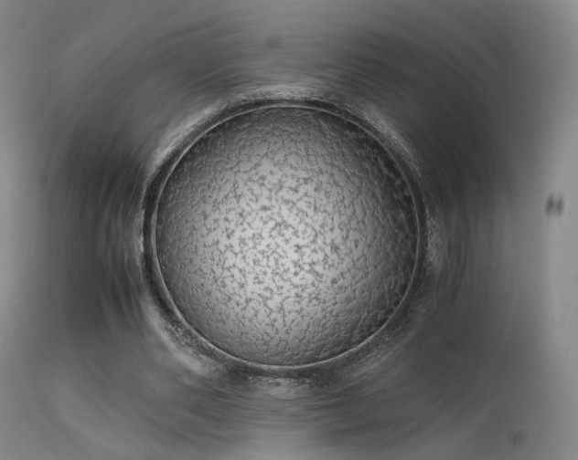 X0000113240486200909171606