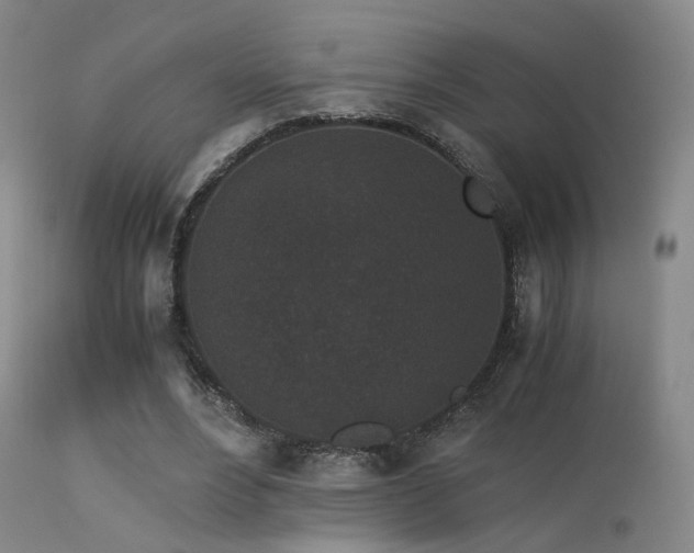 X0000113240488200909171606