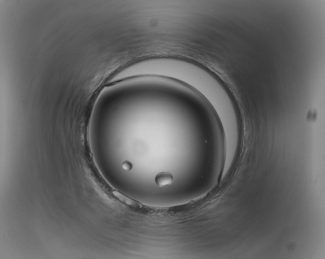 X0000113240489200909171606