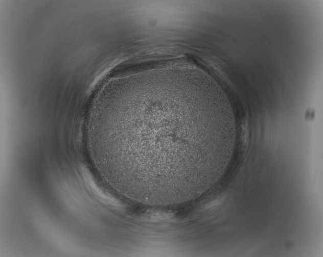 X0000113240491200909171606