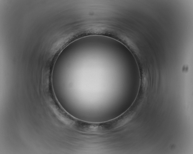 X0000113240493200909171606