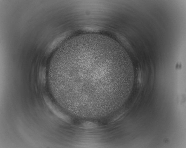 X0000113240494200909171606