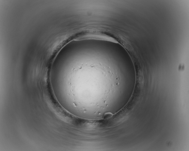 X0000113240495200909171606