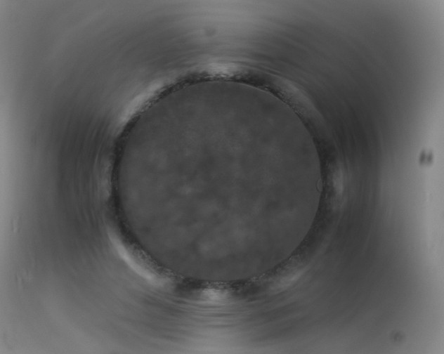 X0000113240496200909171606