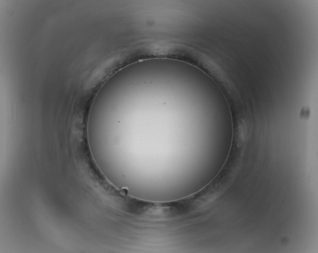 X0000113240497200909171606