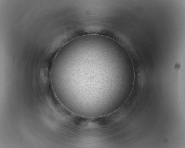 X0000113240498200909171606