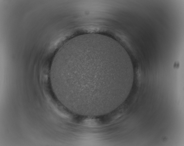 X0000113240499200909171606