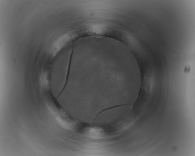 X0000113240500200909171606