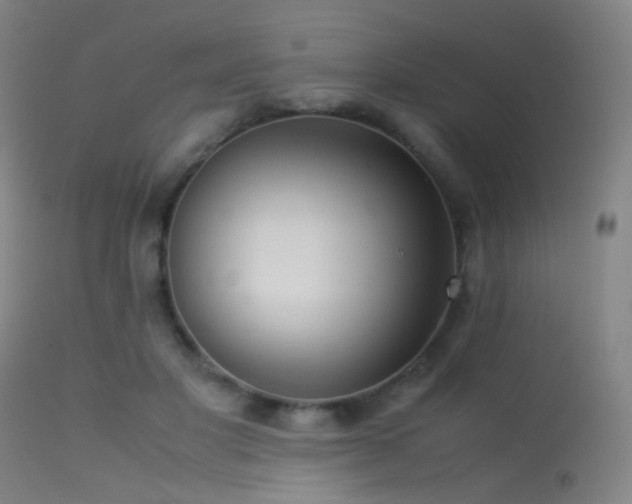 X0000113240501200909171606