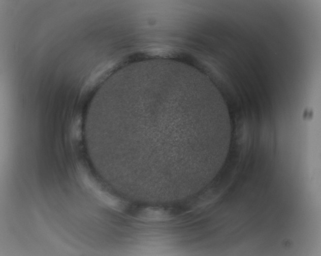 X0000113240502200909171606