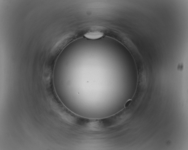 X0000113240505200909171606